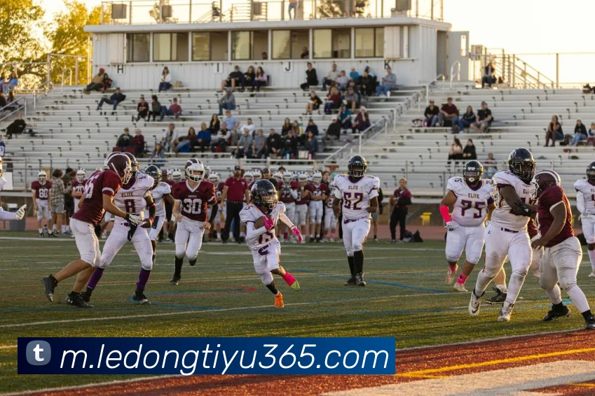 多媒体互动体验