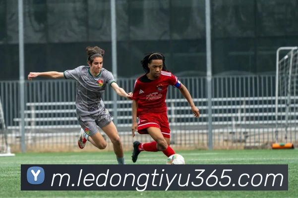 乐动体育APP 高清赛事图