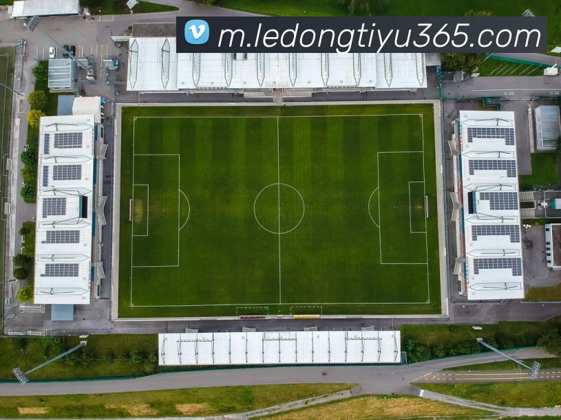 奖项证书